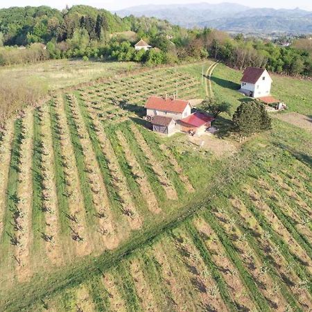 Vikend House Villa Ljig Dış mekan fotoğraf