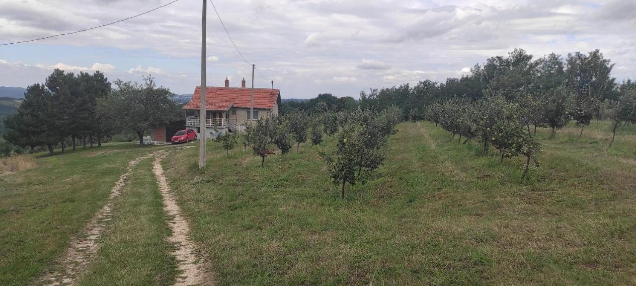 Vikend House Villa Ljig Dış mekan fotoğraf