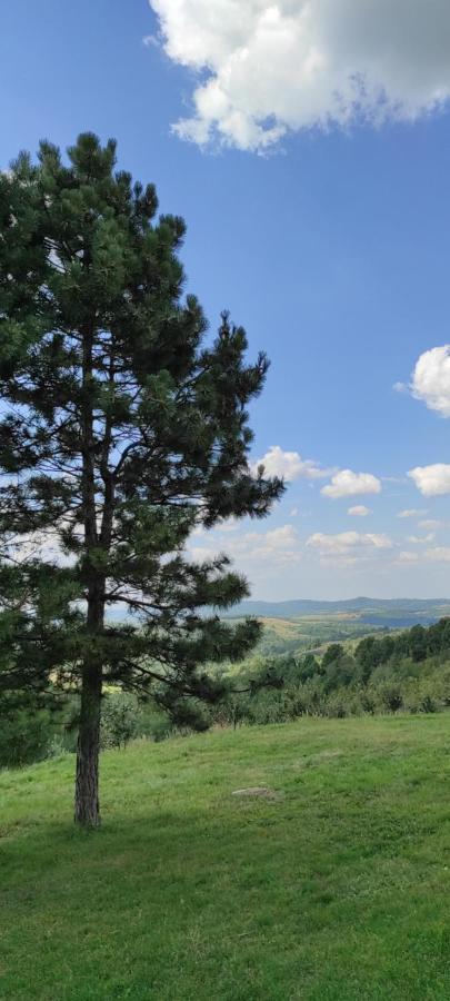 Vikend House Villa Ljig Dış mekan fotoğraf